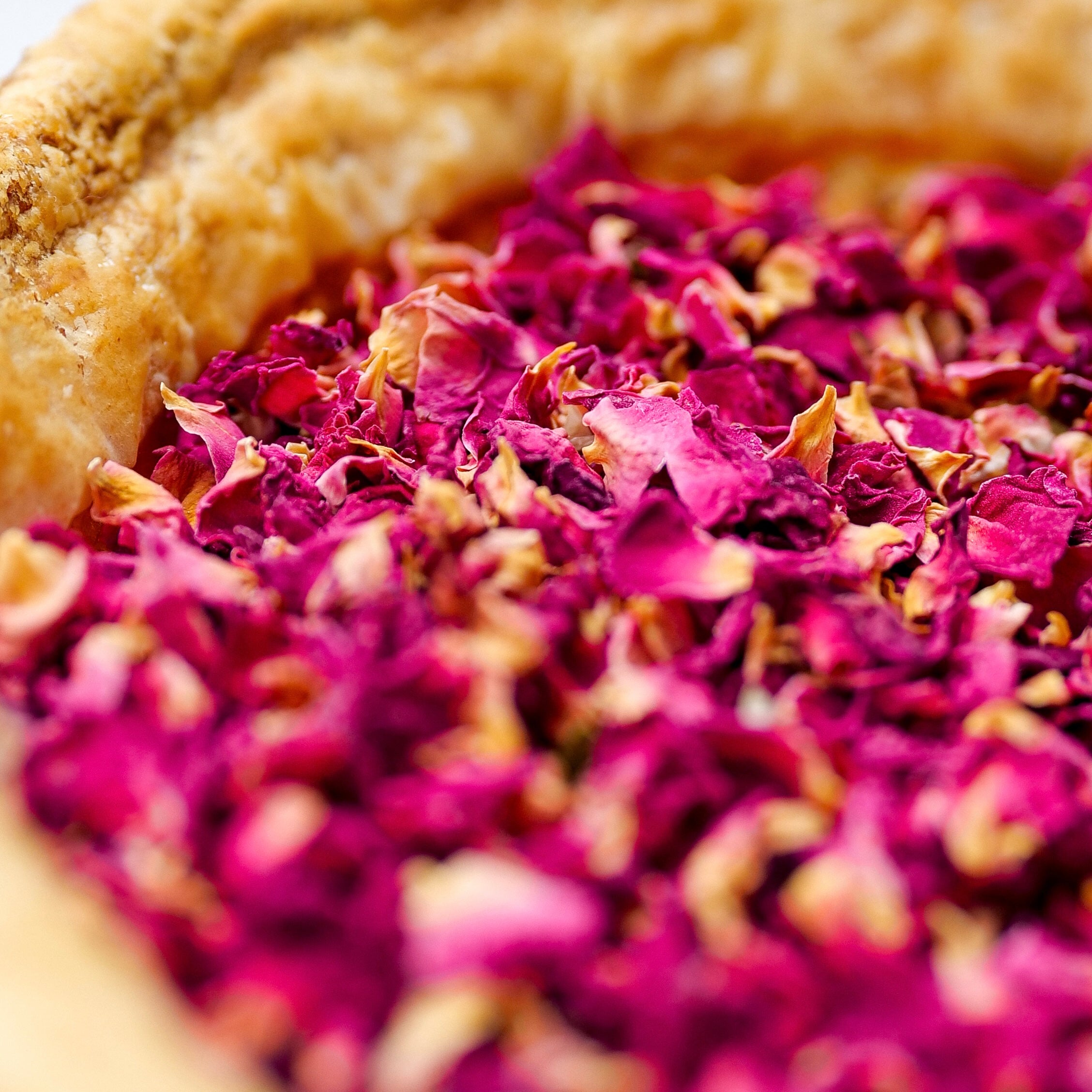 FLAN ROSE & COLLAGÈNE